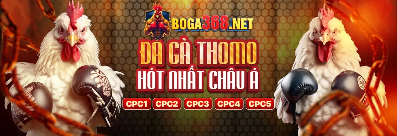 Trải nghiệm đá gà kịch tính tại okevip login